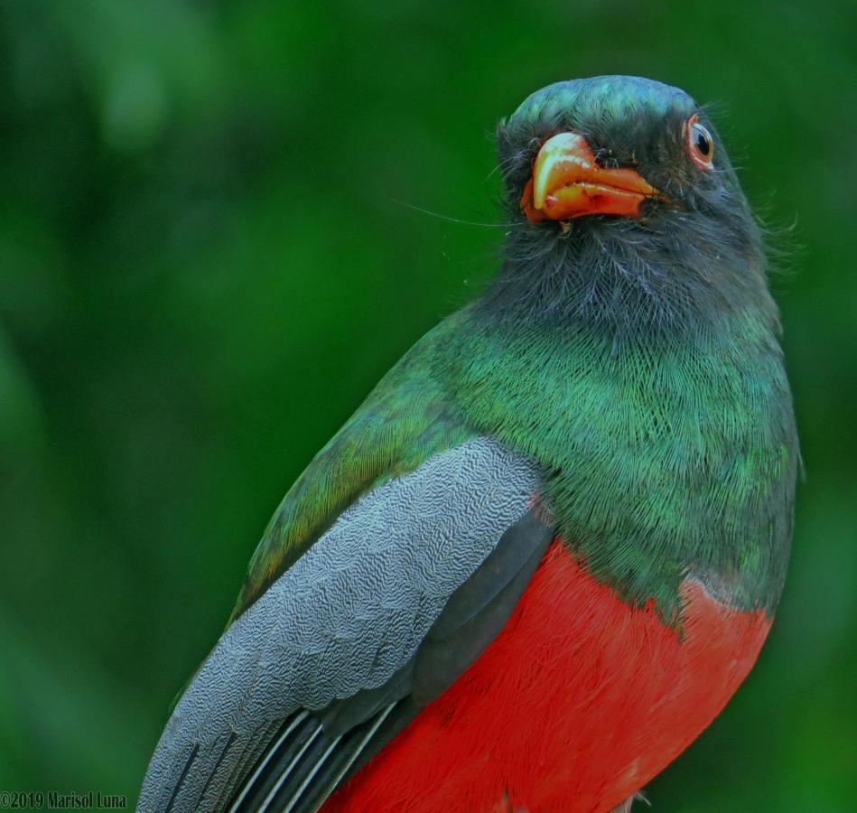 Отель La Selva Biological Station Сарапики Экстерьер фото