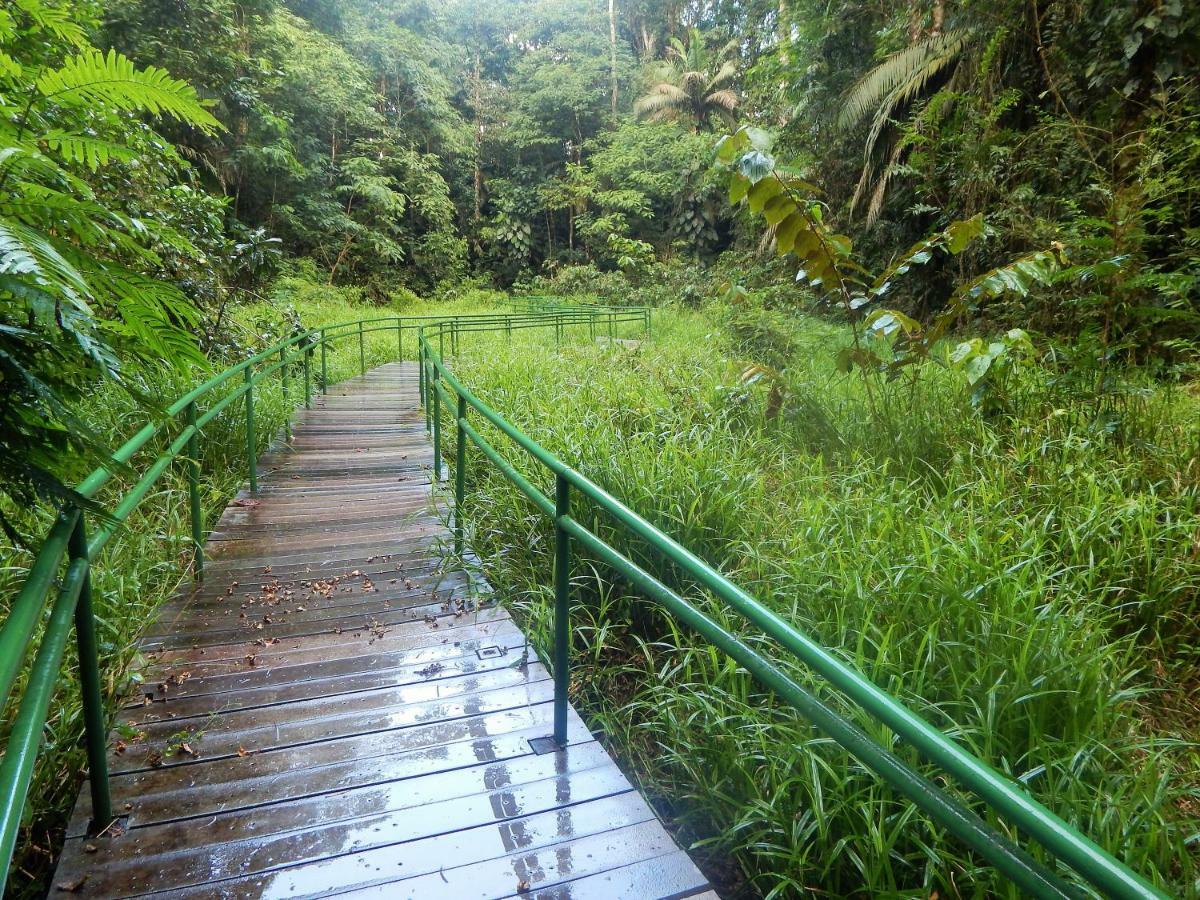 Отель La Selva Biological Station Сарапики Экстерьер фото