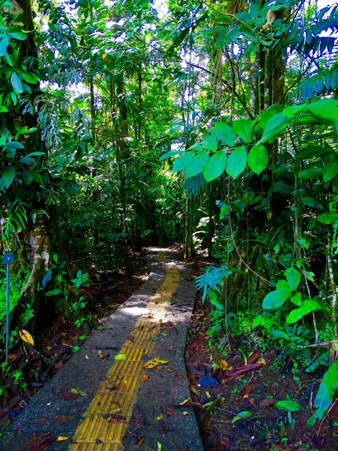 Отель La Selva Biological Station Сарапики Экстерьер фото