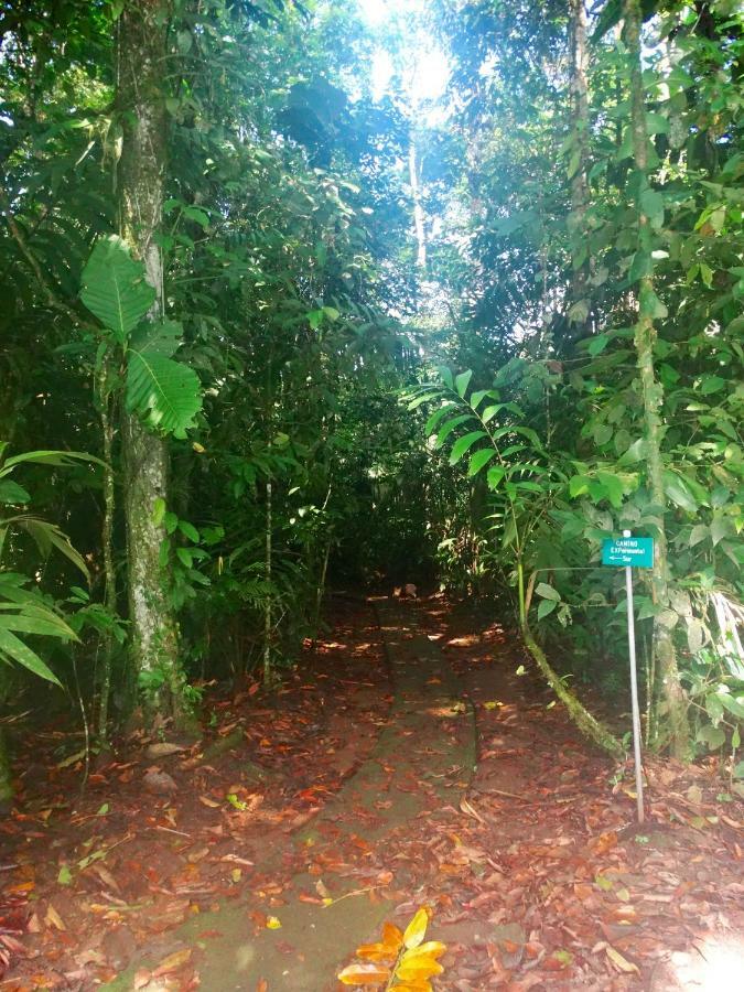 Отель La Selva Biological Station Сарапики Экстерьер фото