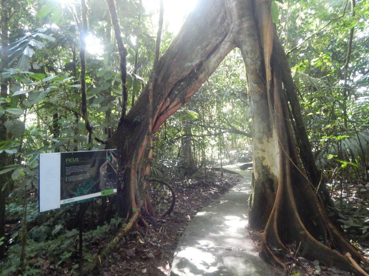 Отель La Selva Biological Station Сарапики Экстерьер фото