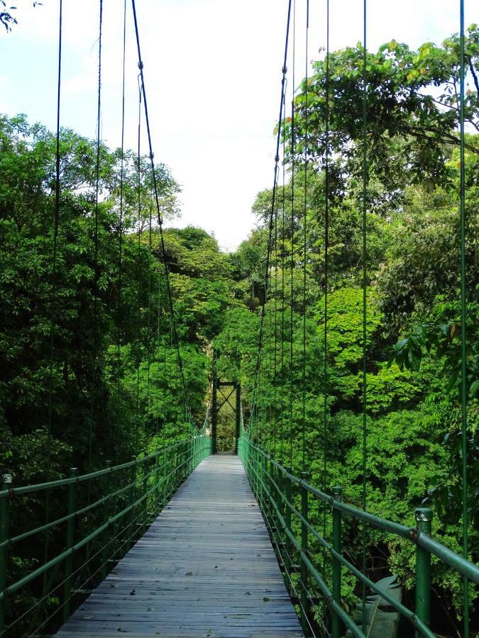 Отель La Selva Biological Station Сарапики Экстерьер фото