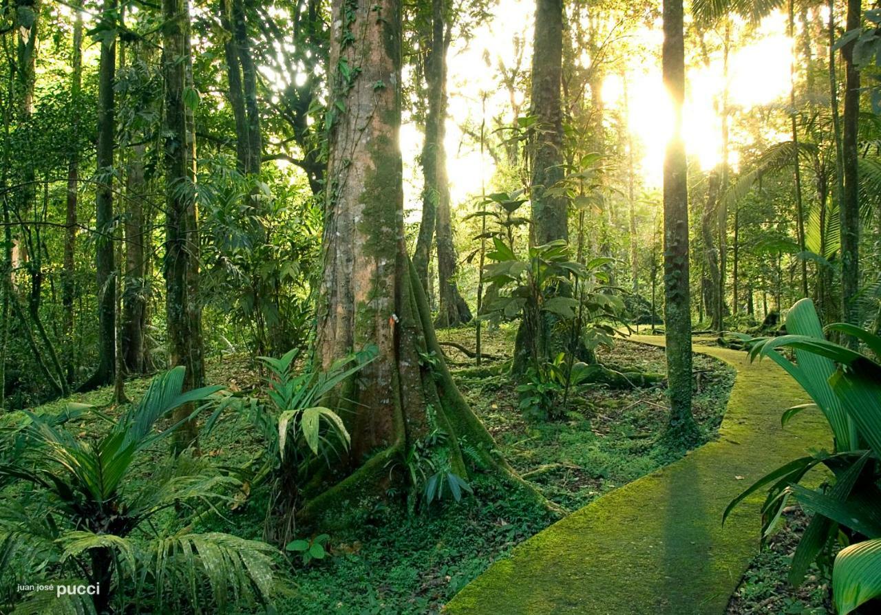 Отель La Selva Biological Station Сарапики Экстерьер фото