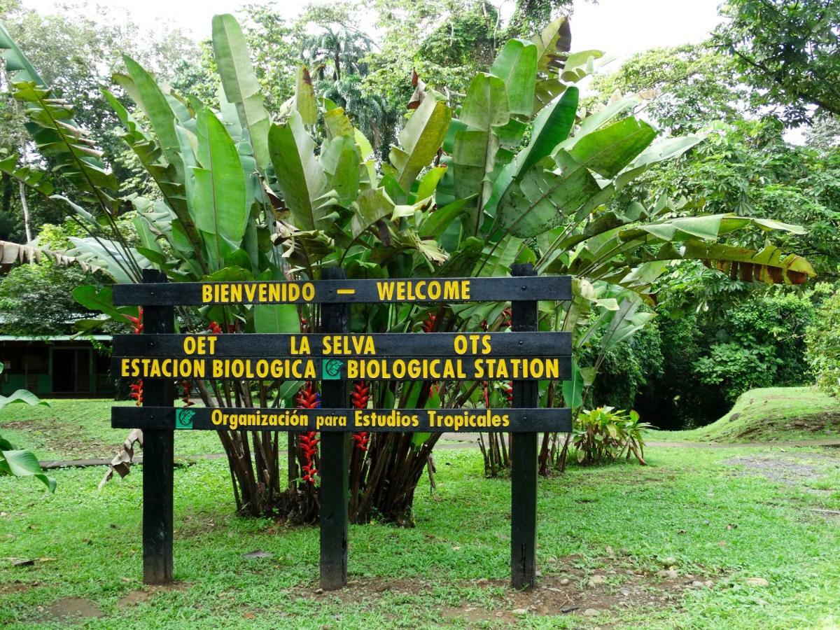 Отель La Selva Biological Station Сарапики Экстерьер фото