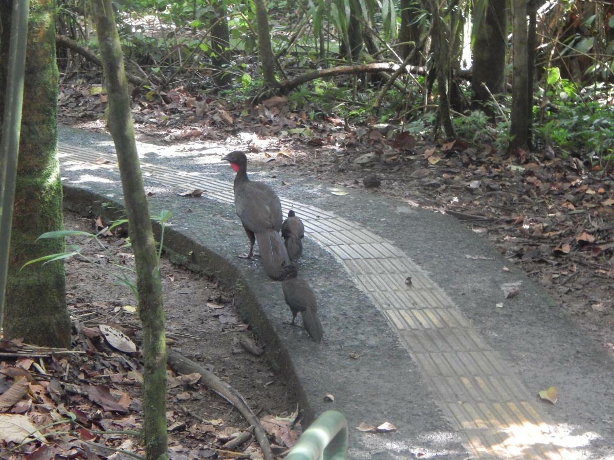 Отель La Selva Biological Station Сарапики Экстерьер фото
