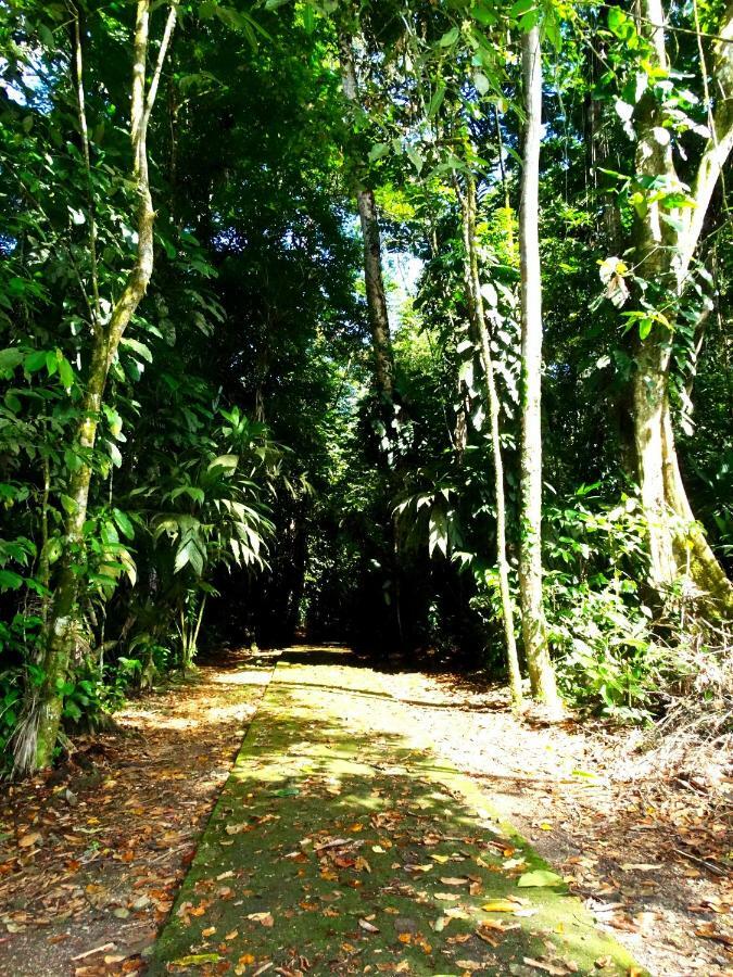 Отель La Selva Biological Station Сарапики Экстерьер фото