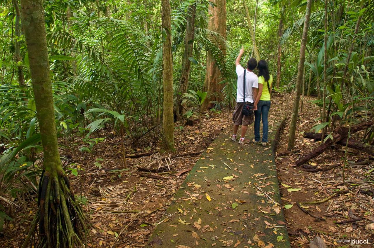 Отель La Selva Biological Station Сарапики Экстерьер фото